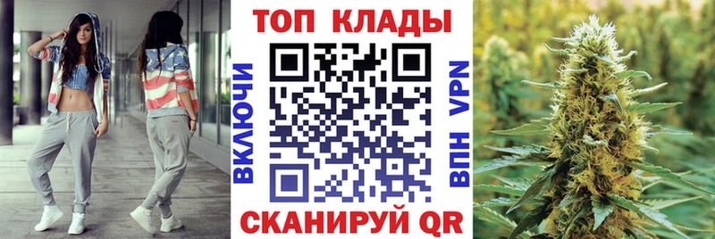 Где можно купить наркотики Нововоронеж ГАШ  Alpha-PVP  МЕФ  Галлюциногенные грибы  COCAIN  Канабис 