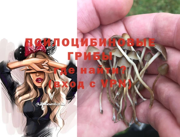 ГАЛЛЮЦИНОГЕННЫЕ ГРИБЫ Белокуриха