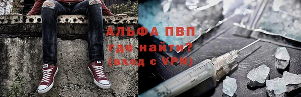 ГАЛЛЮЦИНОГЕННЫЕ ГРИБЫ Белокуриха
