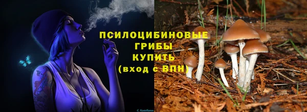 винт Беломорск