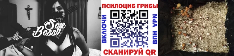 Псилоцибиновые грибы Psilocybe  купить закладку  Нововоронеж 